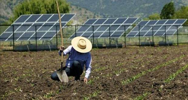 Meio rural responde por 13% da potência instalada de energia solar no Brasil
